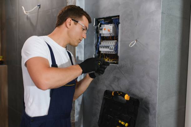 Best Electrician for Home Renovation  in Annandale, VA